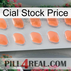 Cial Stock Price 26